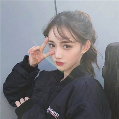 陆行鲨机甲风暴java下载